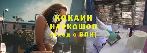 прущий лед Алзамай