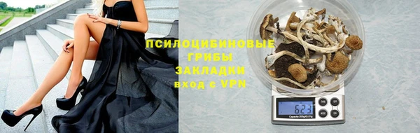 СК Алексеевка