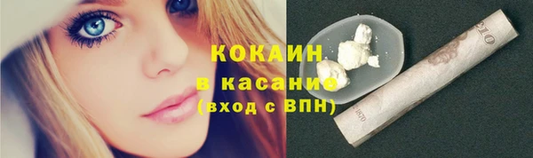 прущий лед Алзамай