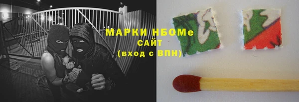 прущий лед Алзамай