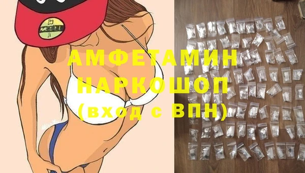 прущий лед Алзамай