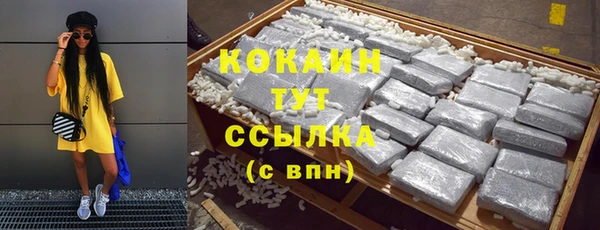прущий лед Алзамай