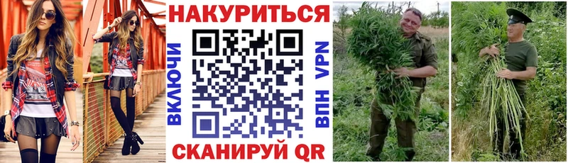кракен как зайти Ревда Марихуана гибрид